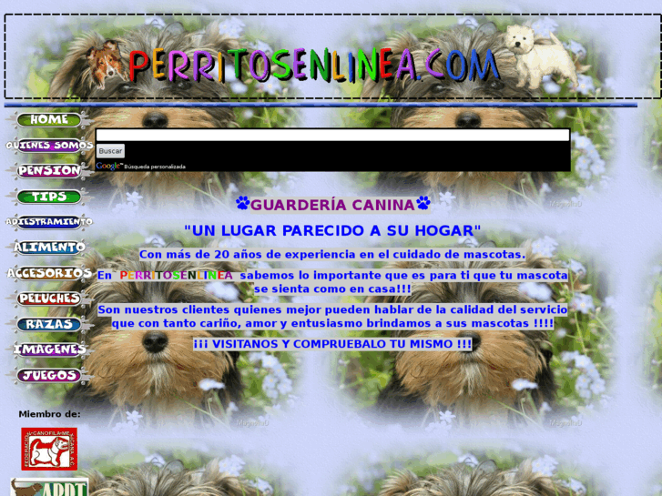 www.perritosenlinea.com