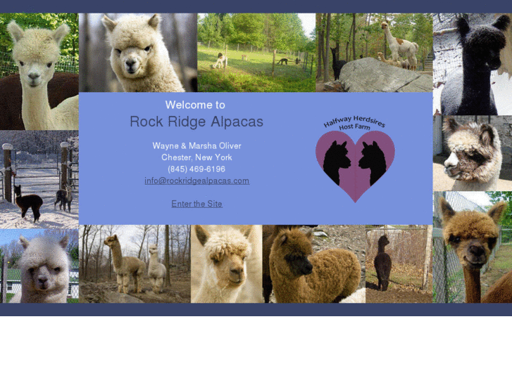 www.rockridgealpacas.com