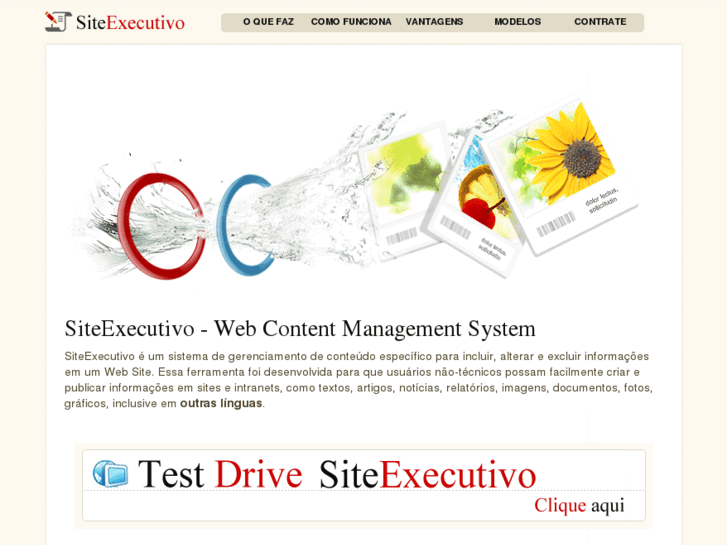 www.siteexecutivo.com