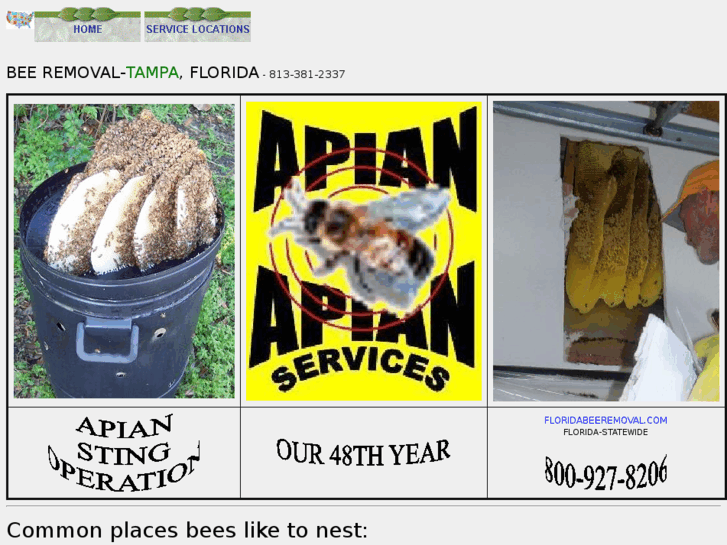 www.beeremoval-brandon.com