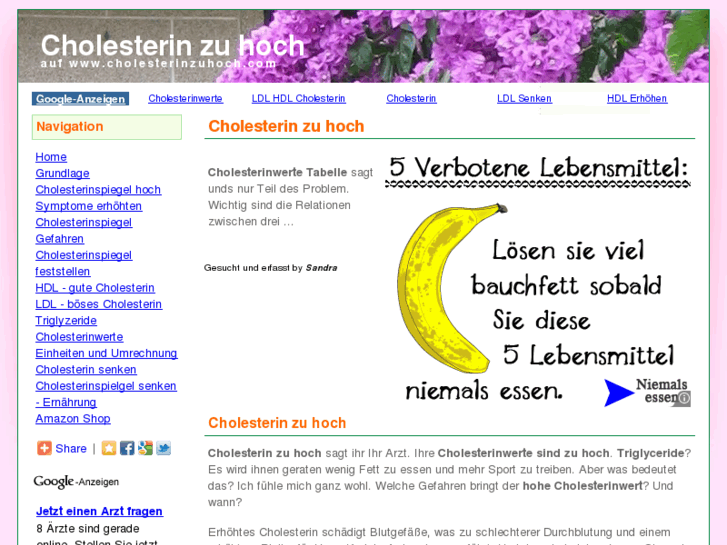 www.cholesterinzuhoch.com