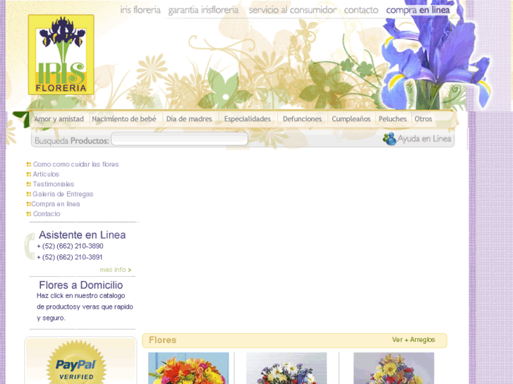 www.iris-floreria.com