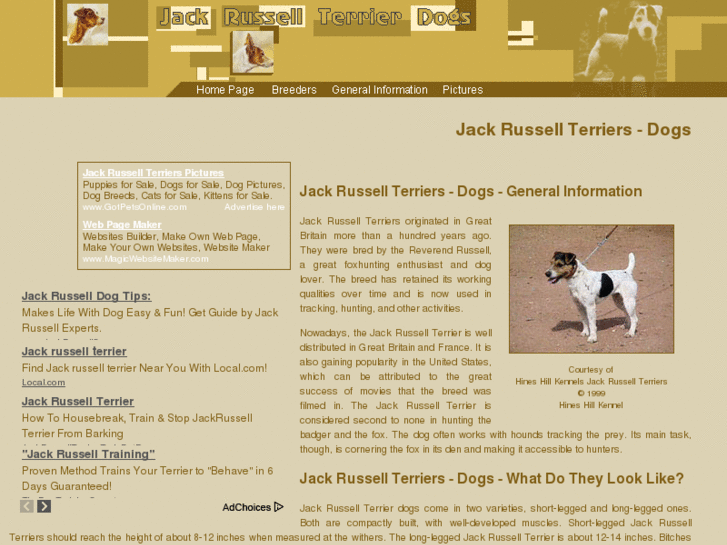 www.jack-russell-terrier-dogs.com