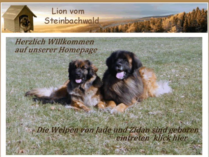 www.lion-vom-steinbachwald.de