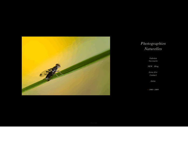 www.photographies-naturelles.fr