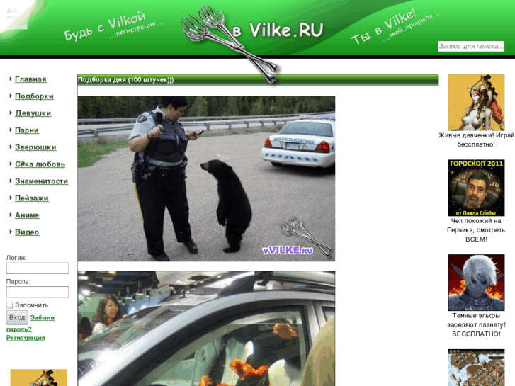 www.vvilke.ru