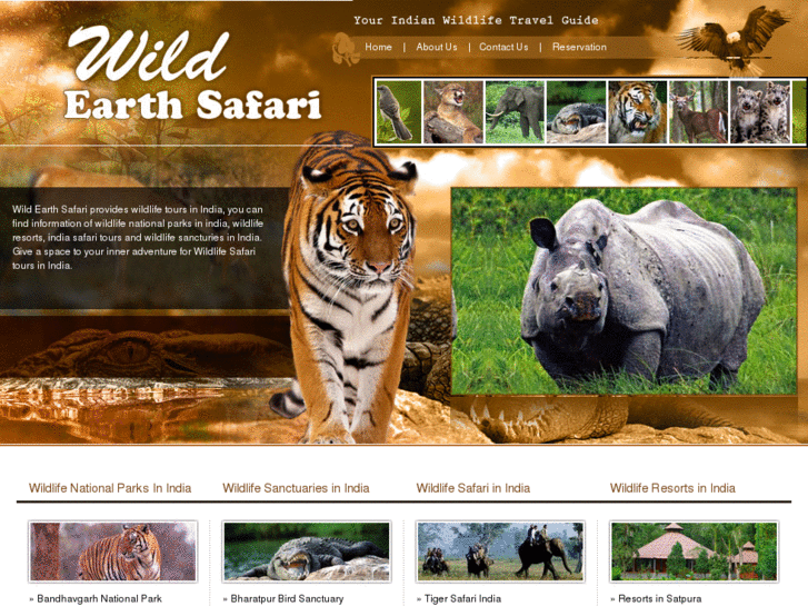 www.wildearthsafari.com