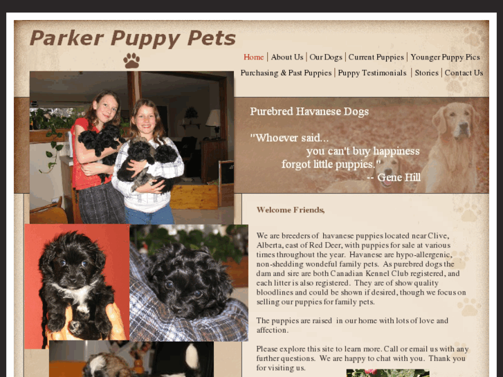 www.havaneseparkerpuppypets.com