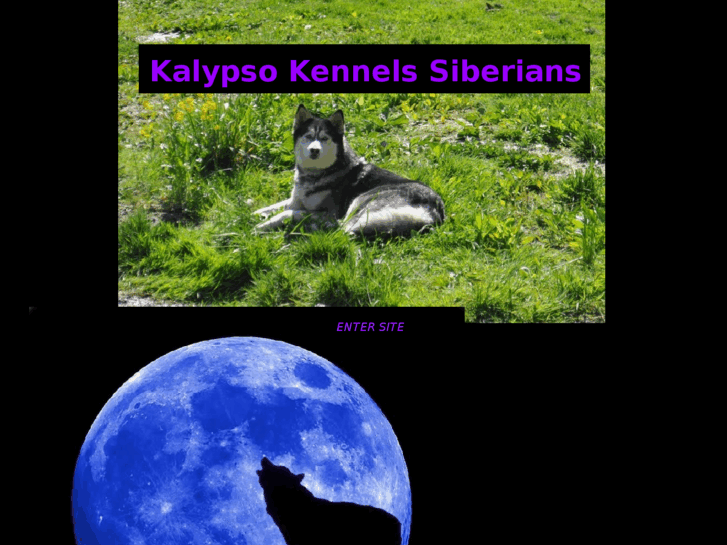 www.kksiberians.com