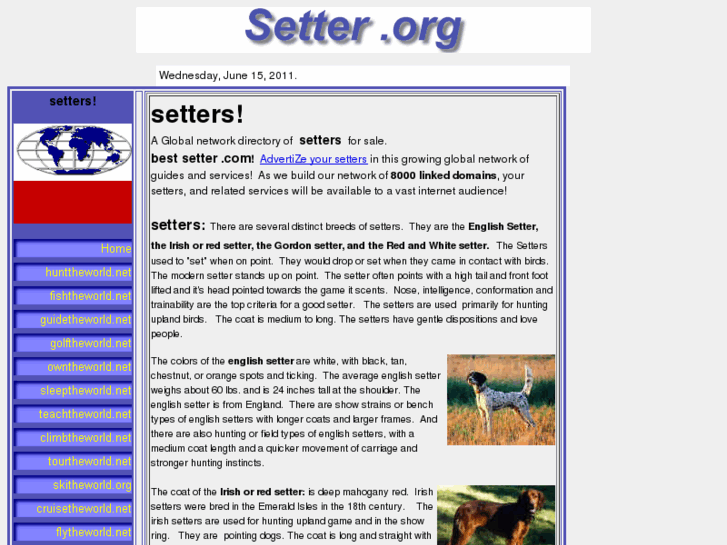 www.setter.org