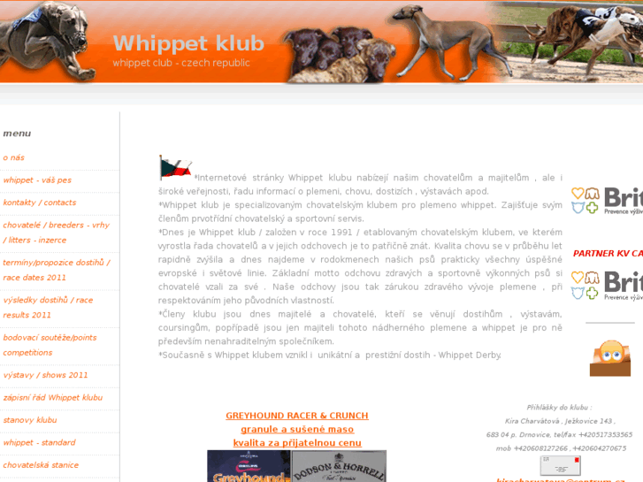 www.whippet-club.com