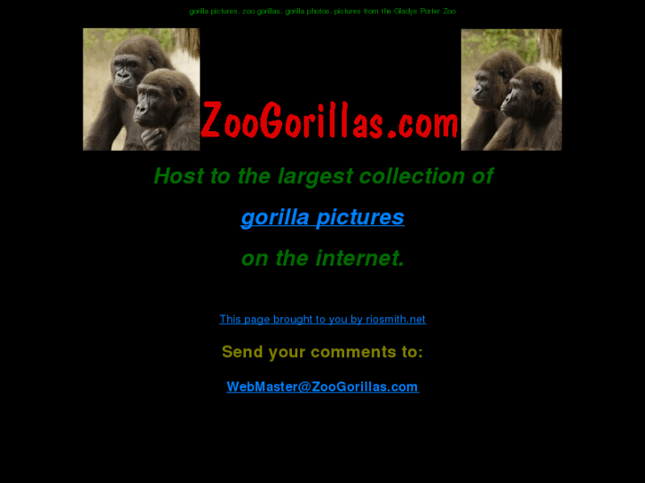 www.zoogorillas.com