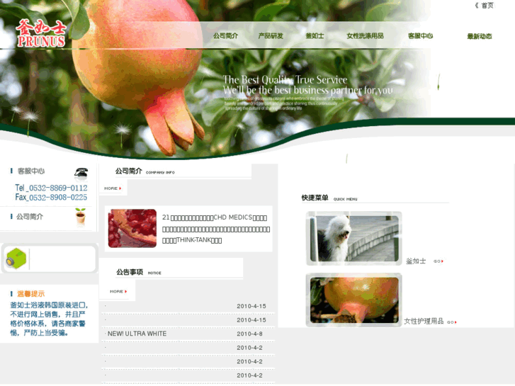 www.kr-prunus.com