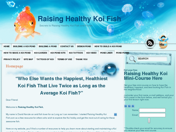 www.raisinghealthykoifish.com