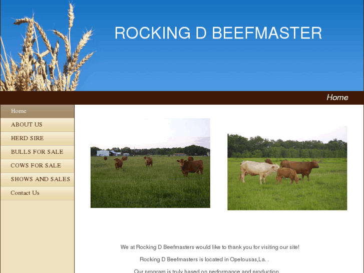 www.rockingdbeefmaster.com