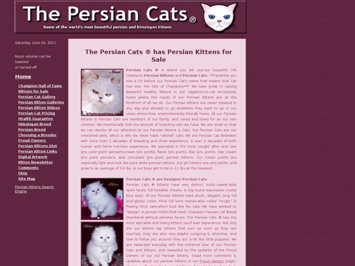 www.thepersiancats.com