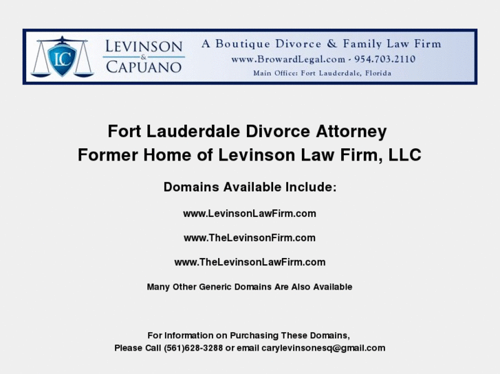 www.carylevinsonlaw.com