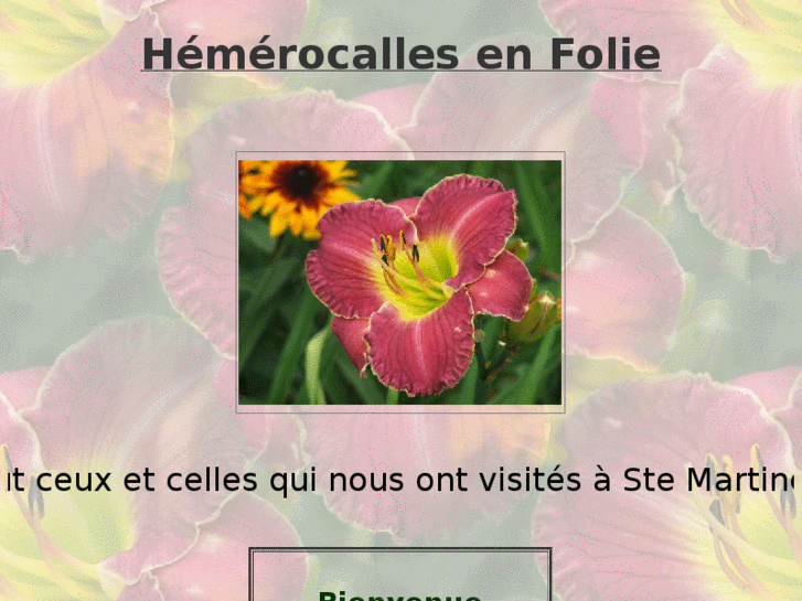 www.hemerocallesenfolie.com