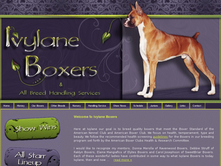 www.ivylaneboxers.com