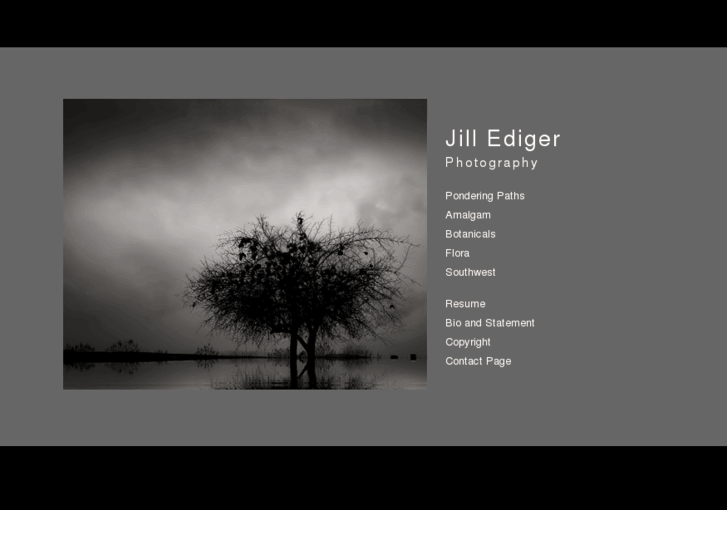 www.jillediger.com