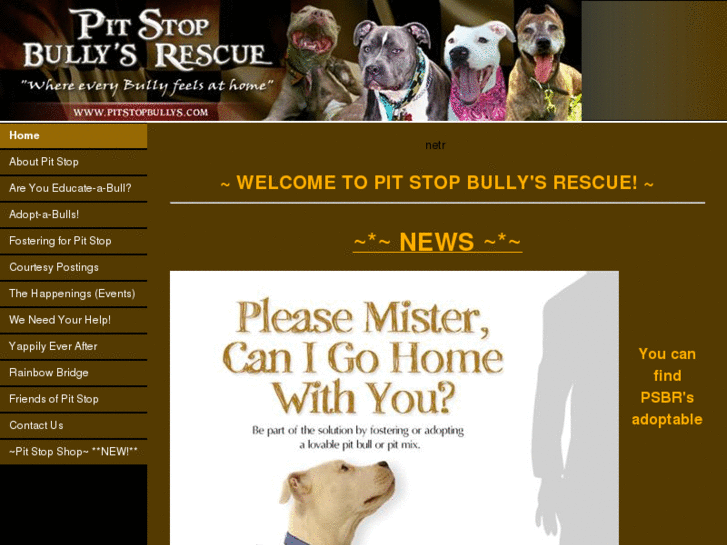 www.pitstopbullys.com