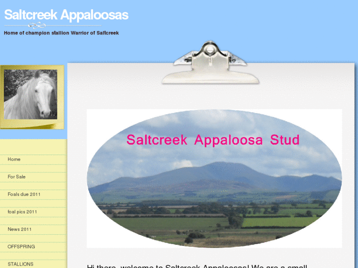 www.saltcreekappaloosas.com