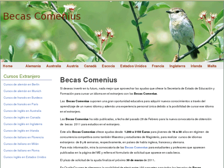 www.becascomenius.es