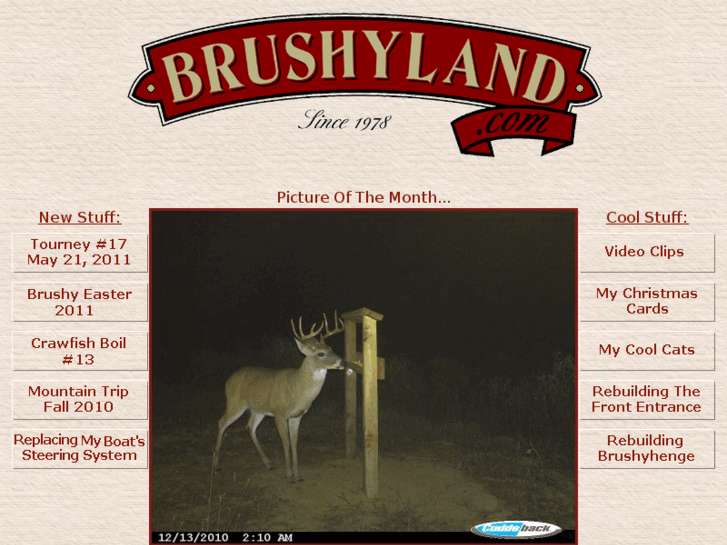 www.brushyland.com