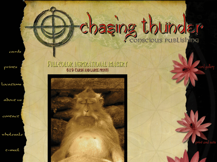 www.chasingthunder.com