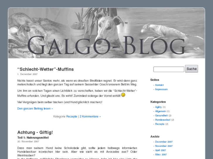 www.galgo-blog.de