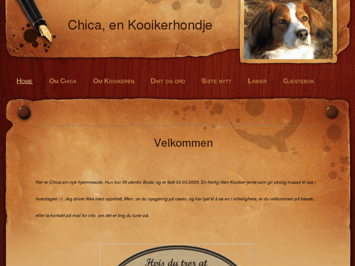 www.kooikerenchica.com