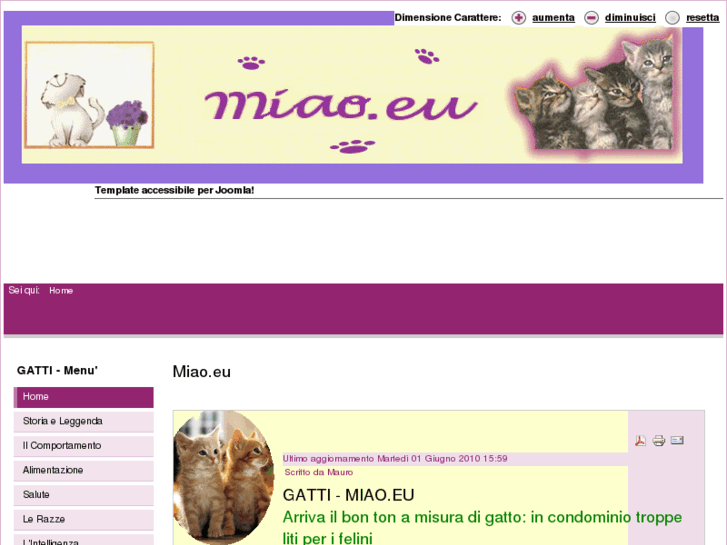 www.miao.eu