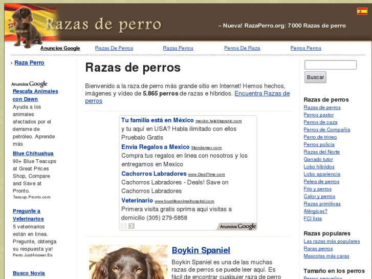 www.razaperro.org