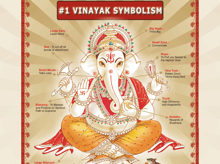 www.vinayakinfosoft.com