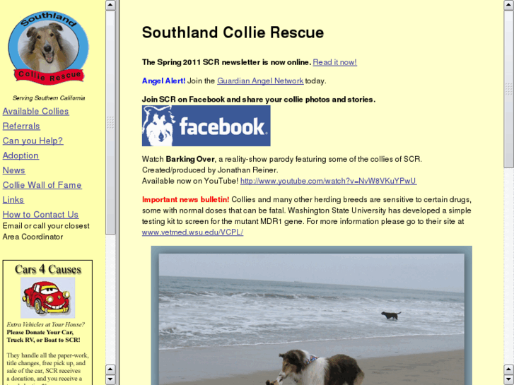 www.collie.org