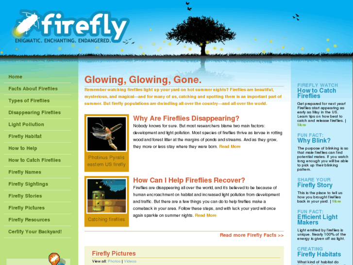 www.firefly.org
