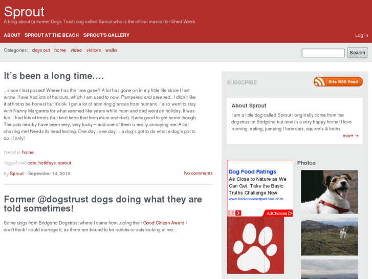 www.sproutsblog.com