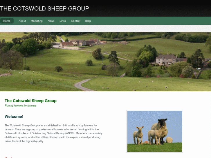 www.cotswoldsheepgroup.com