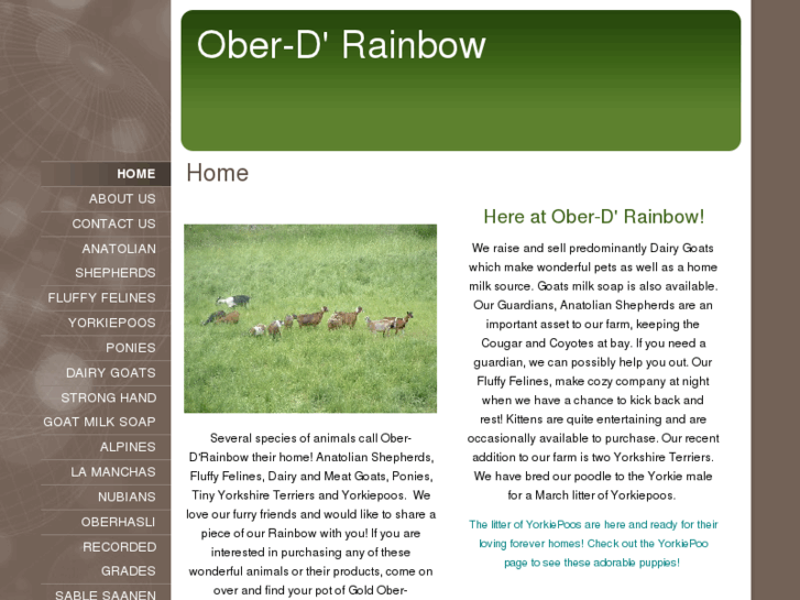 www.obrainbow.com