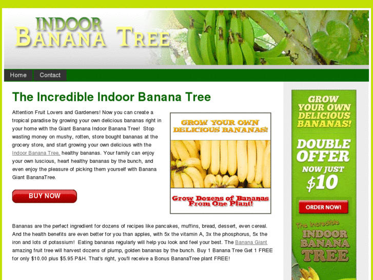 www.theindoorbananatree.com