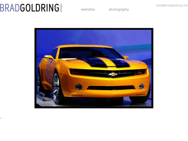 www.bradgoldring.com