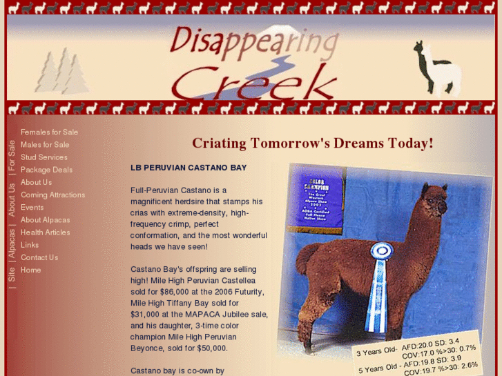 www.disappearingcreek.com