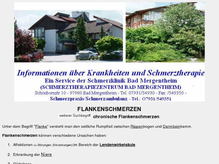 www.flankenschmerzen.de