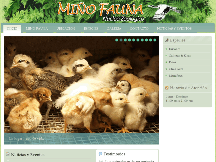 www.minhofauna.com