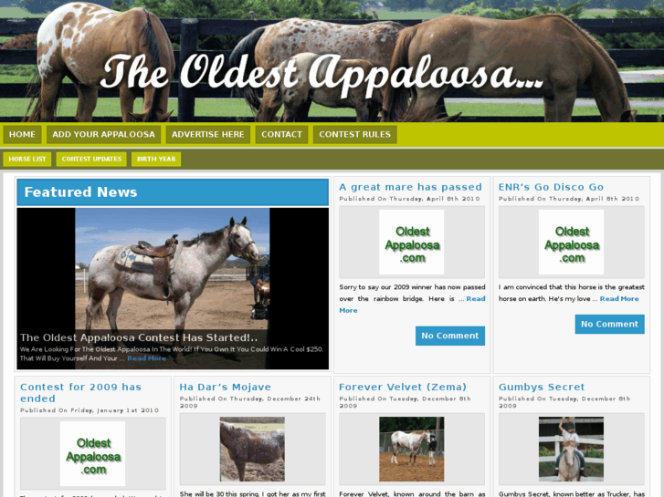 www.oldestappaloosa.com