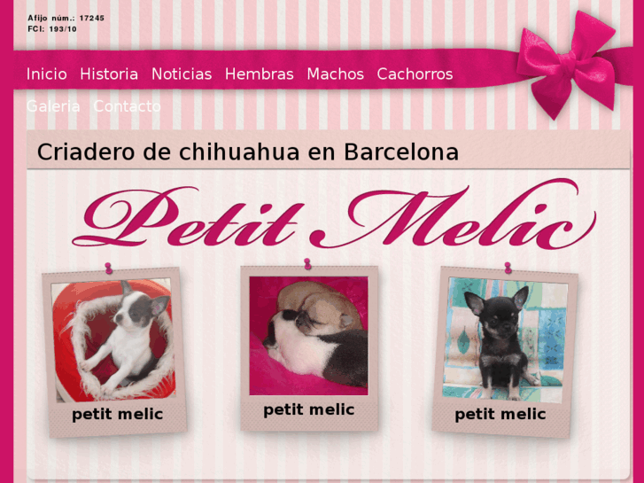 www.petitmelic.com