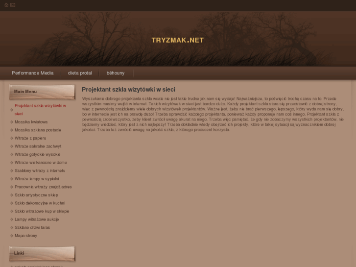 www.tryzmak.net