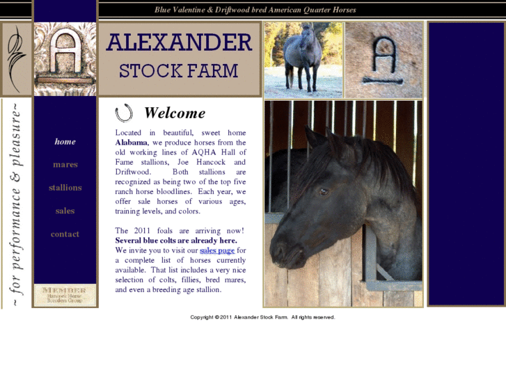 www.alexanderstockfarm.com