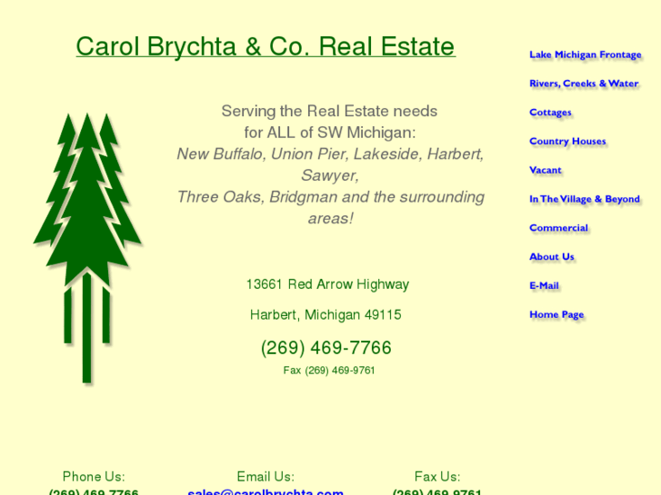 www.carolbrychta.com