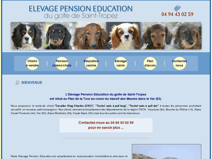 www.elevage-pension-chien.com